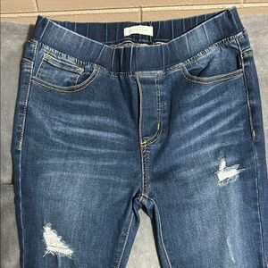 Grace & Lace Blue Jeggings with Elastic Waistband